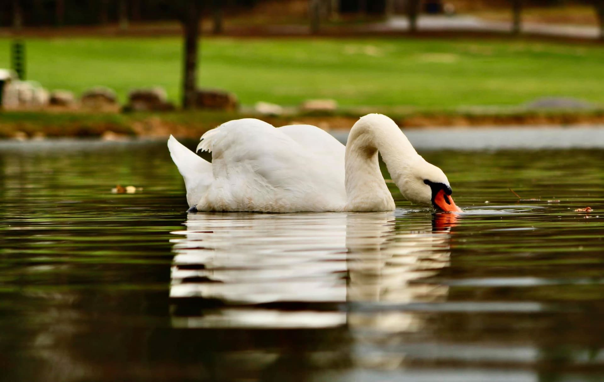 Around Pond RV Parks