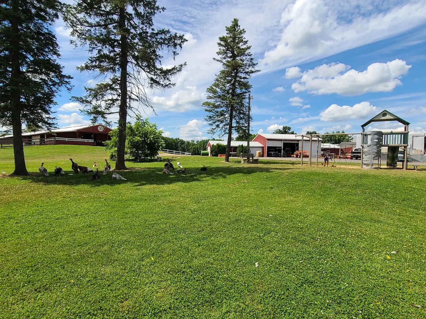 Camp Turkeyville RV Resort