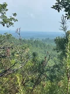 Cheaha Hideaway