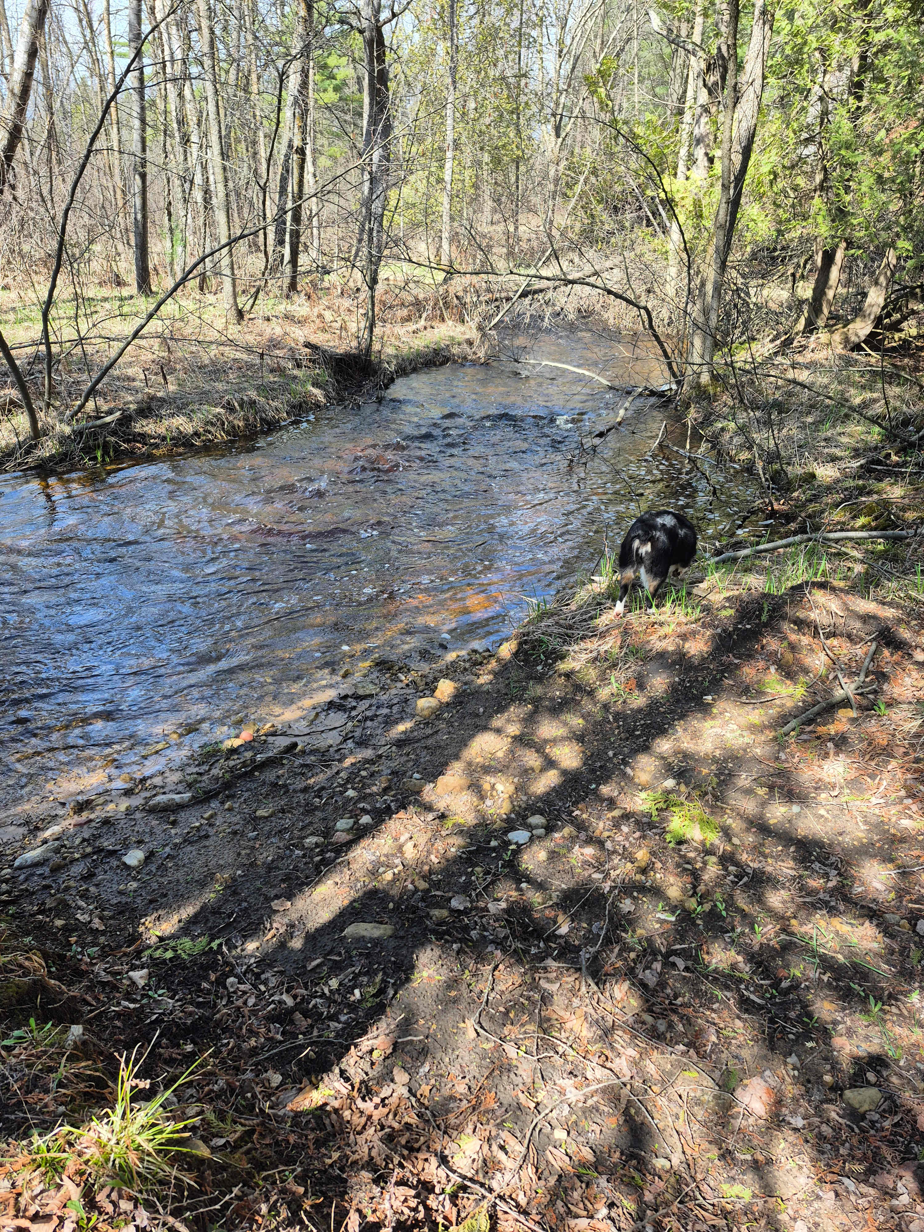 Corner Creek Ranch