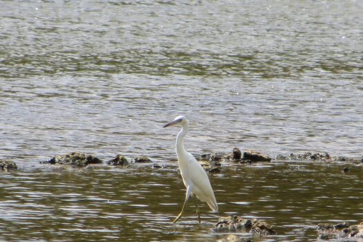 Hollywood Bottom Park - LCRA