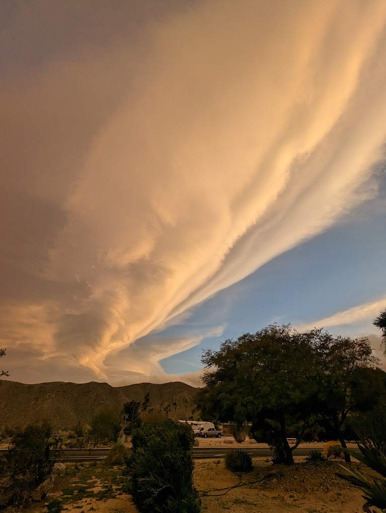 Oasis Inn Borrego