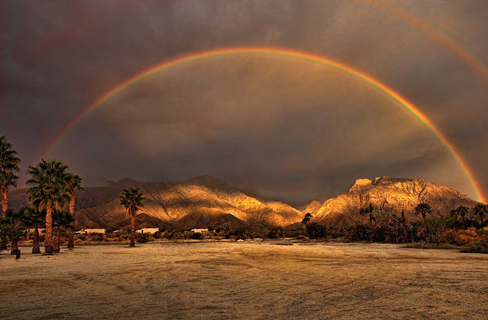 Oasis Inn Borrego