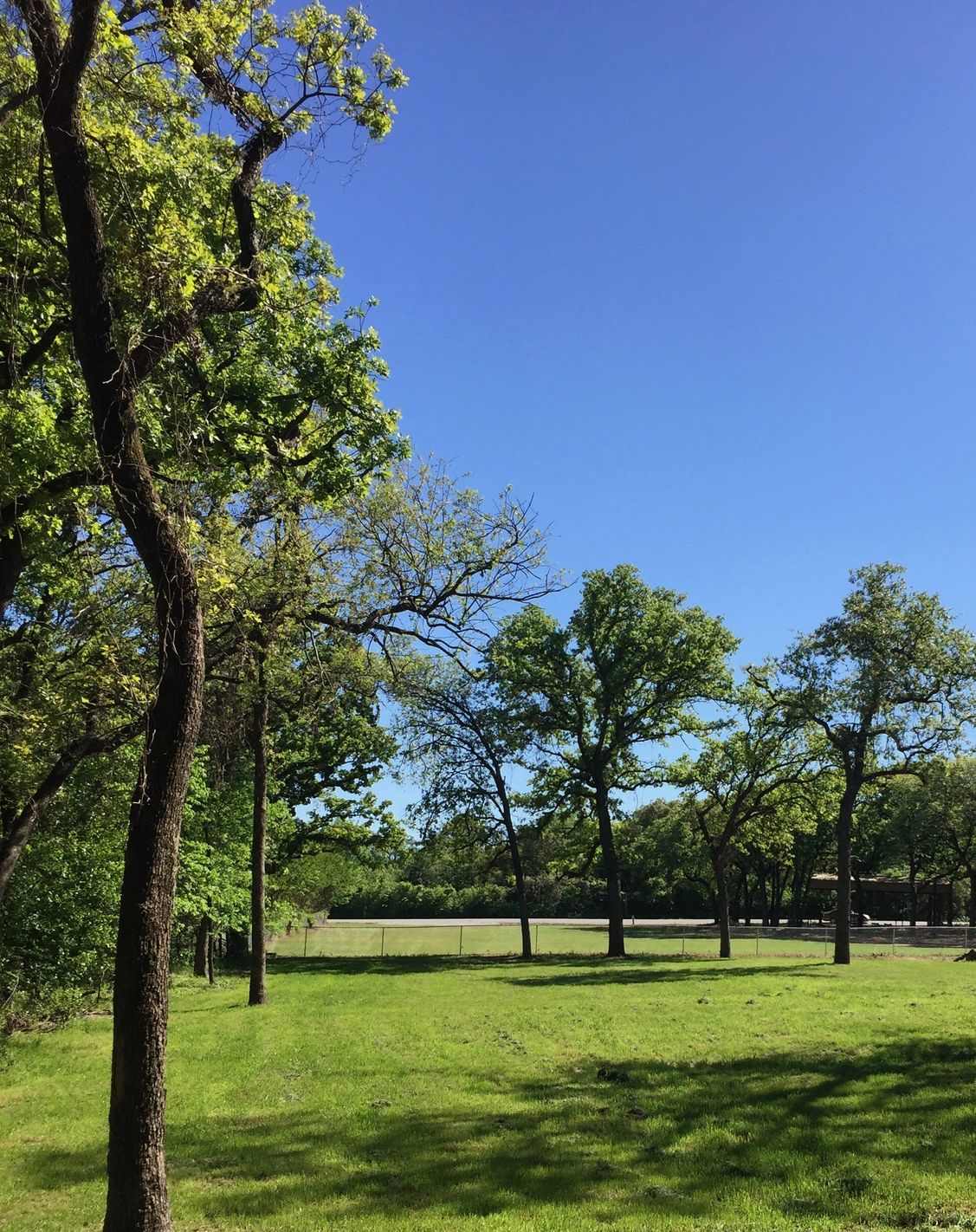 Shady Lane RV Park