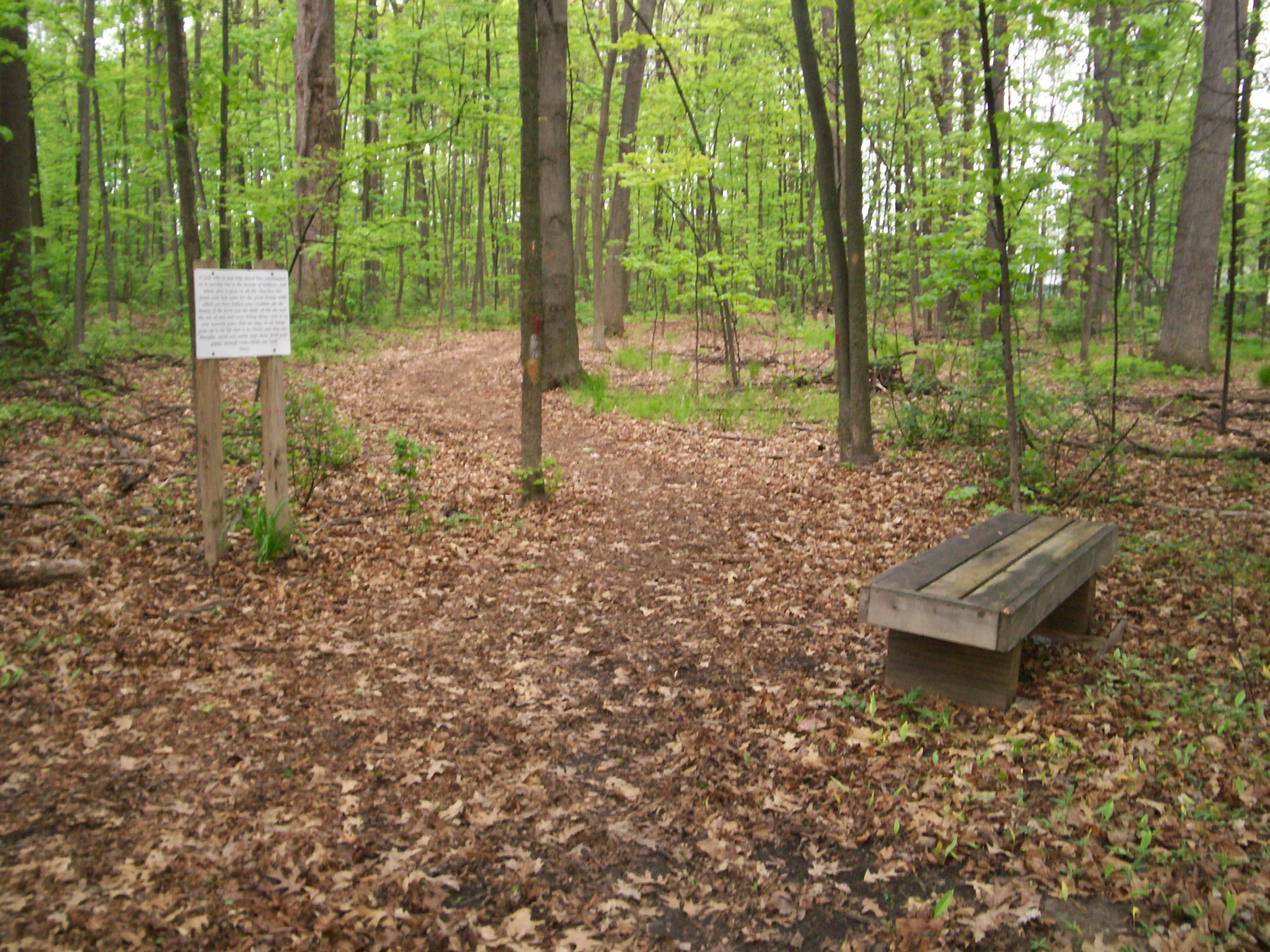 St. Lorenz Churchgrove and Campground