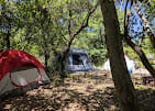Turkey Bend Recreation Area