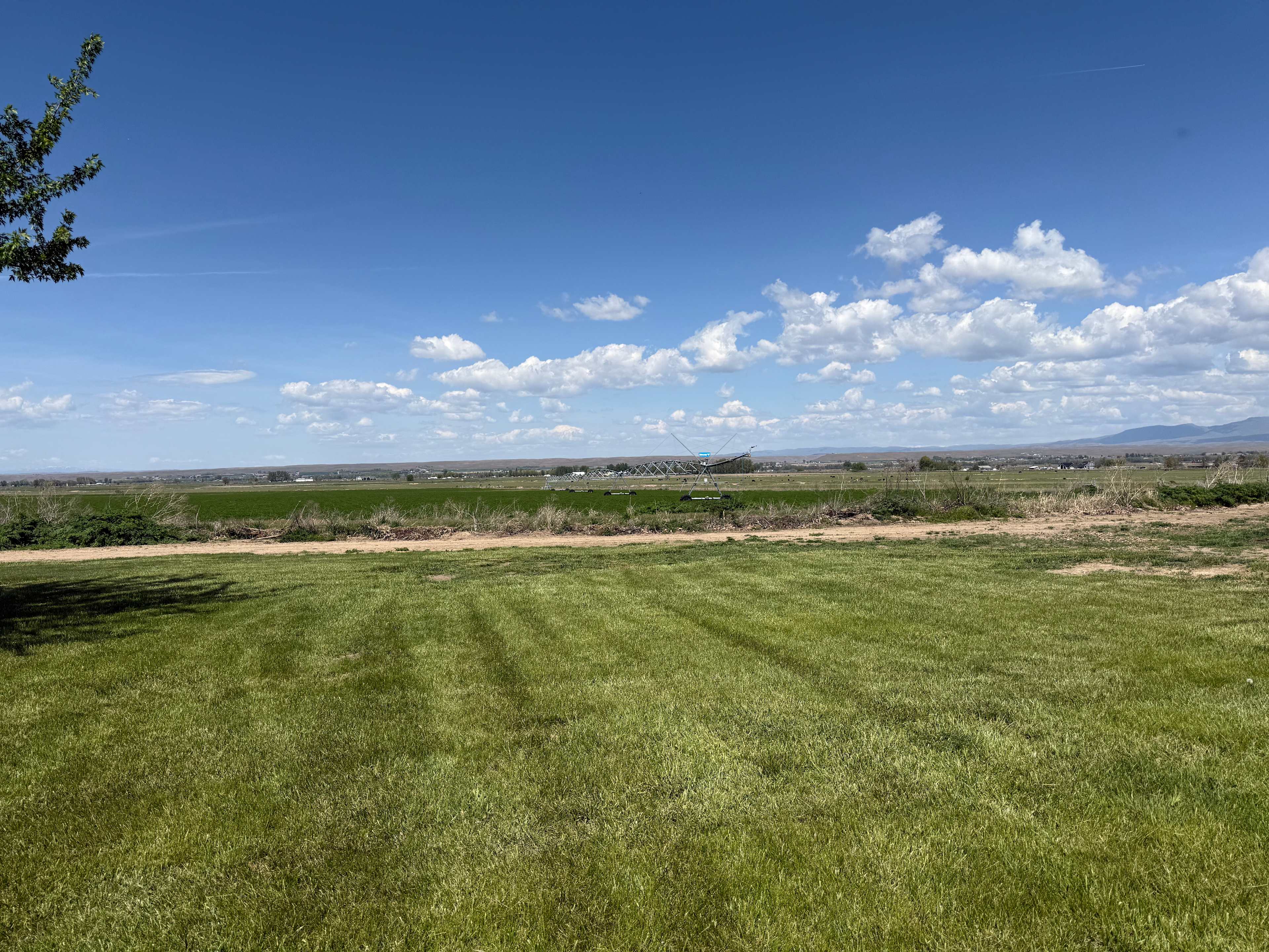 Mini Acres Farm
