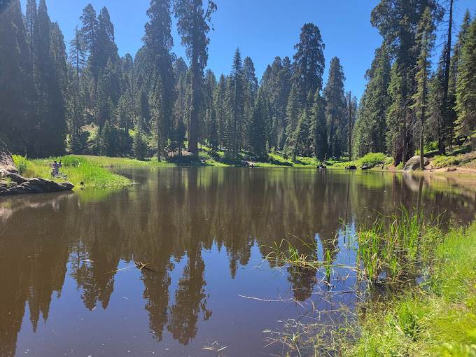 Balch Park Campground