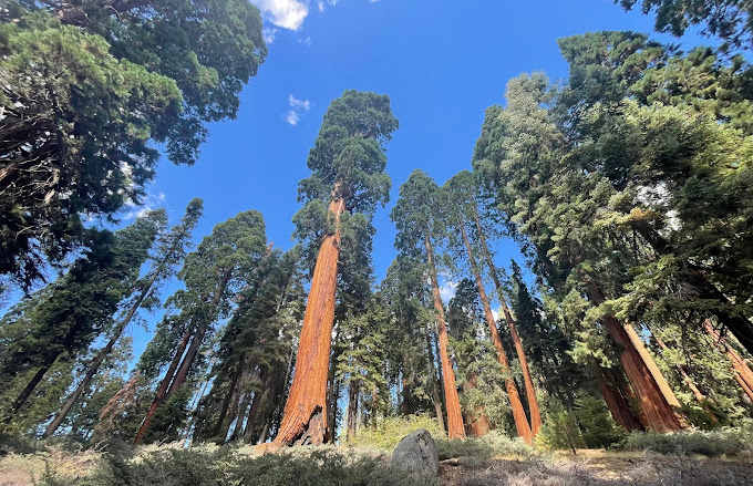 Balch Park Campground