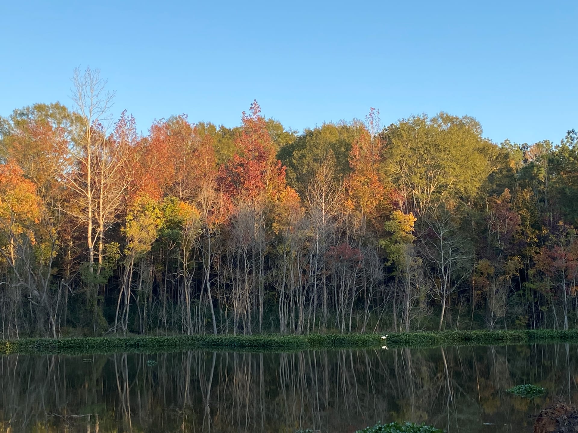 Calhoun Hills at 103 RV Park