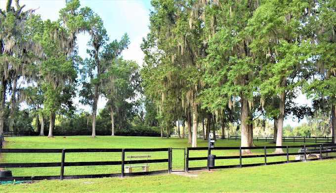 Ocala North RV Resort