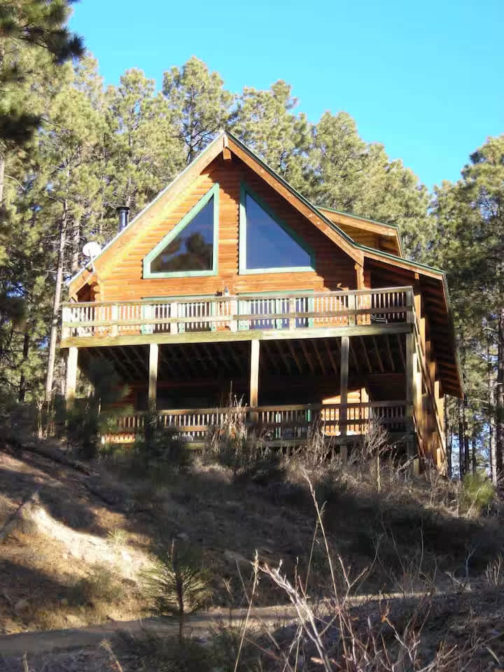 Mountain Side Log Home