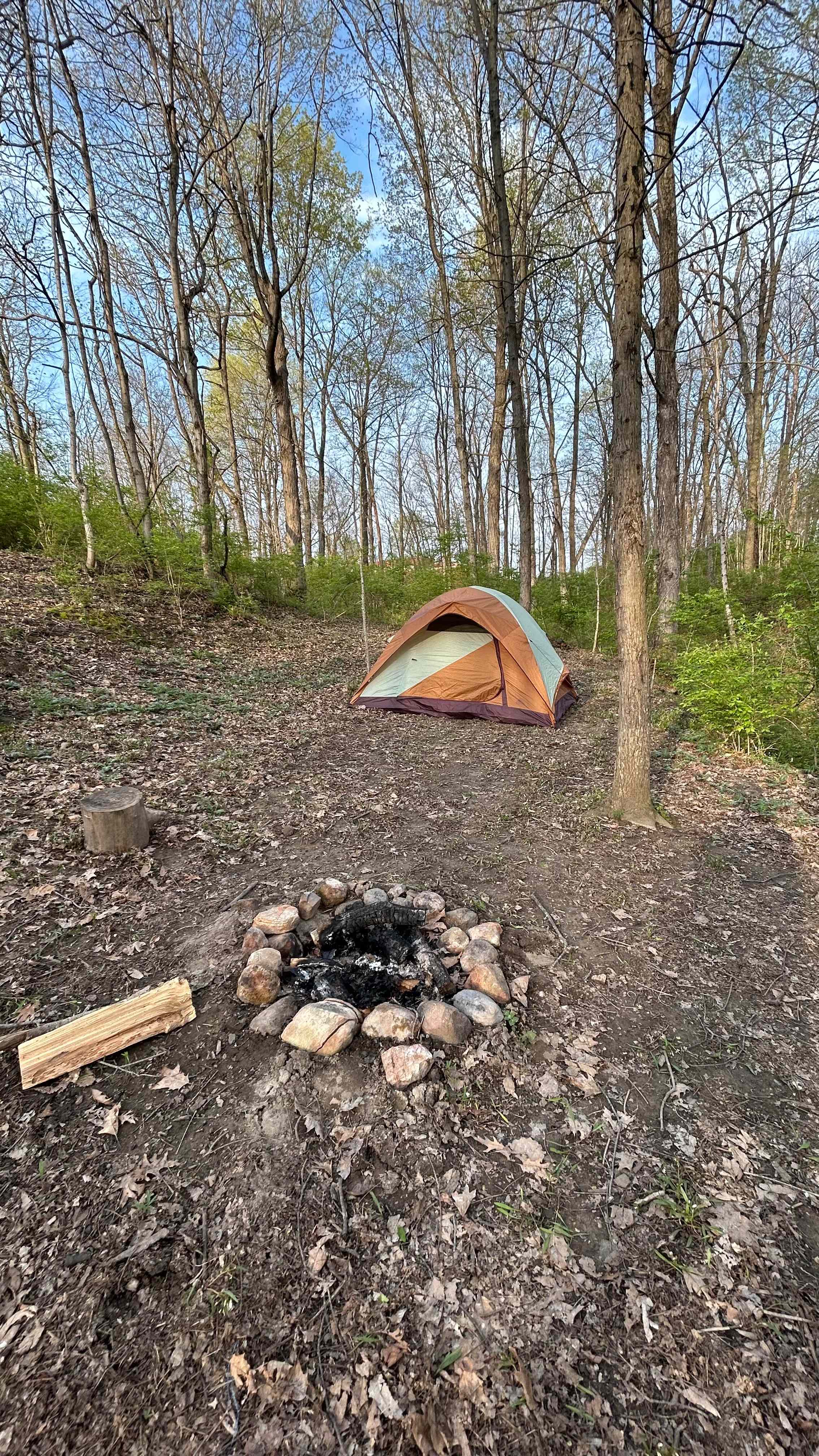 site 2 and the firepit 