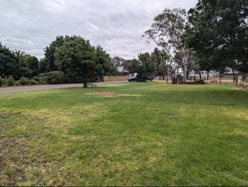 Picture of the site