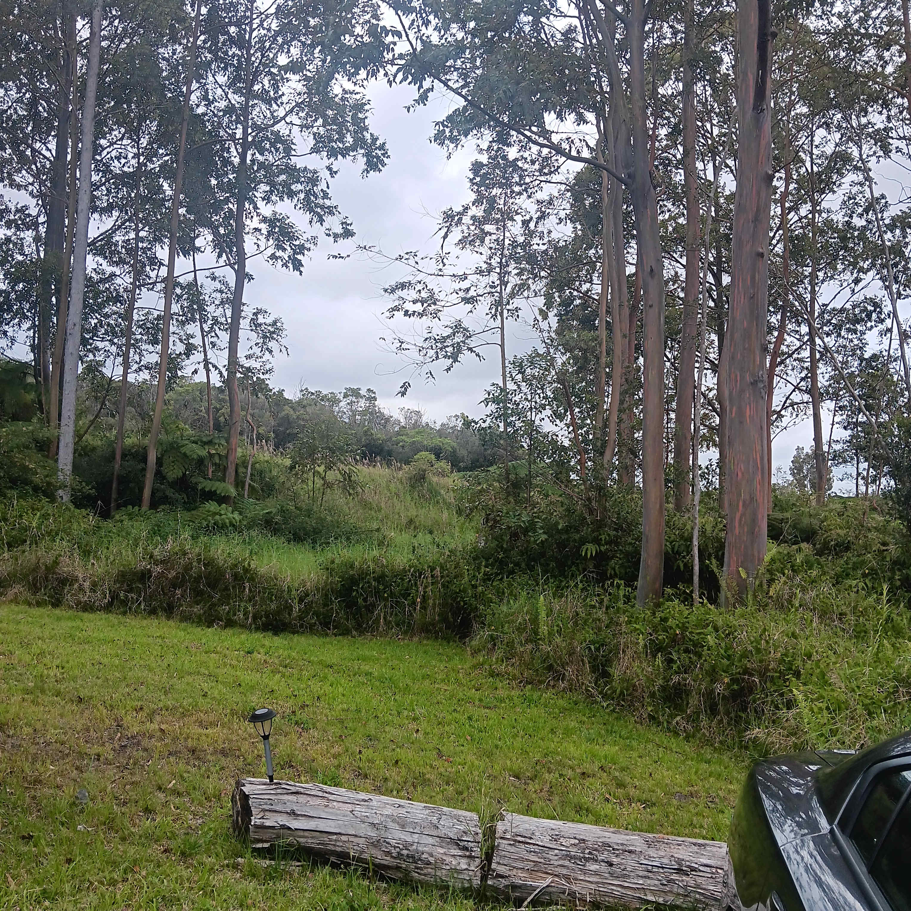 The Tranquil Homestead