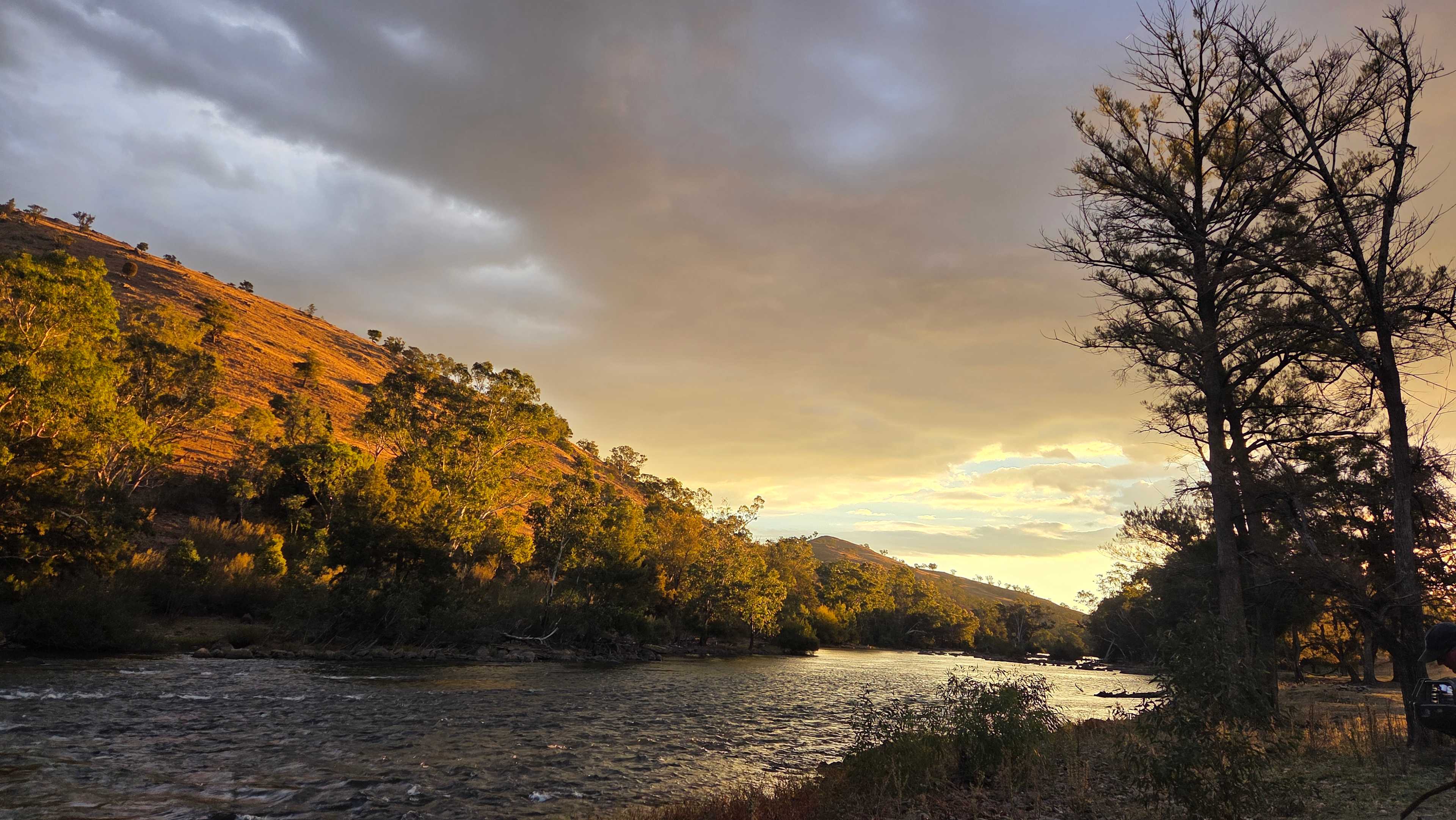 Jarabin on the Murrumbidgee