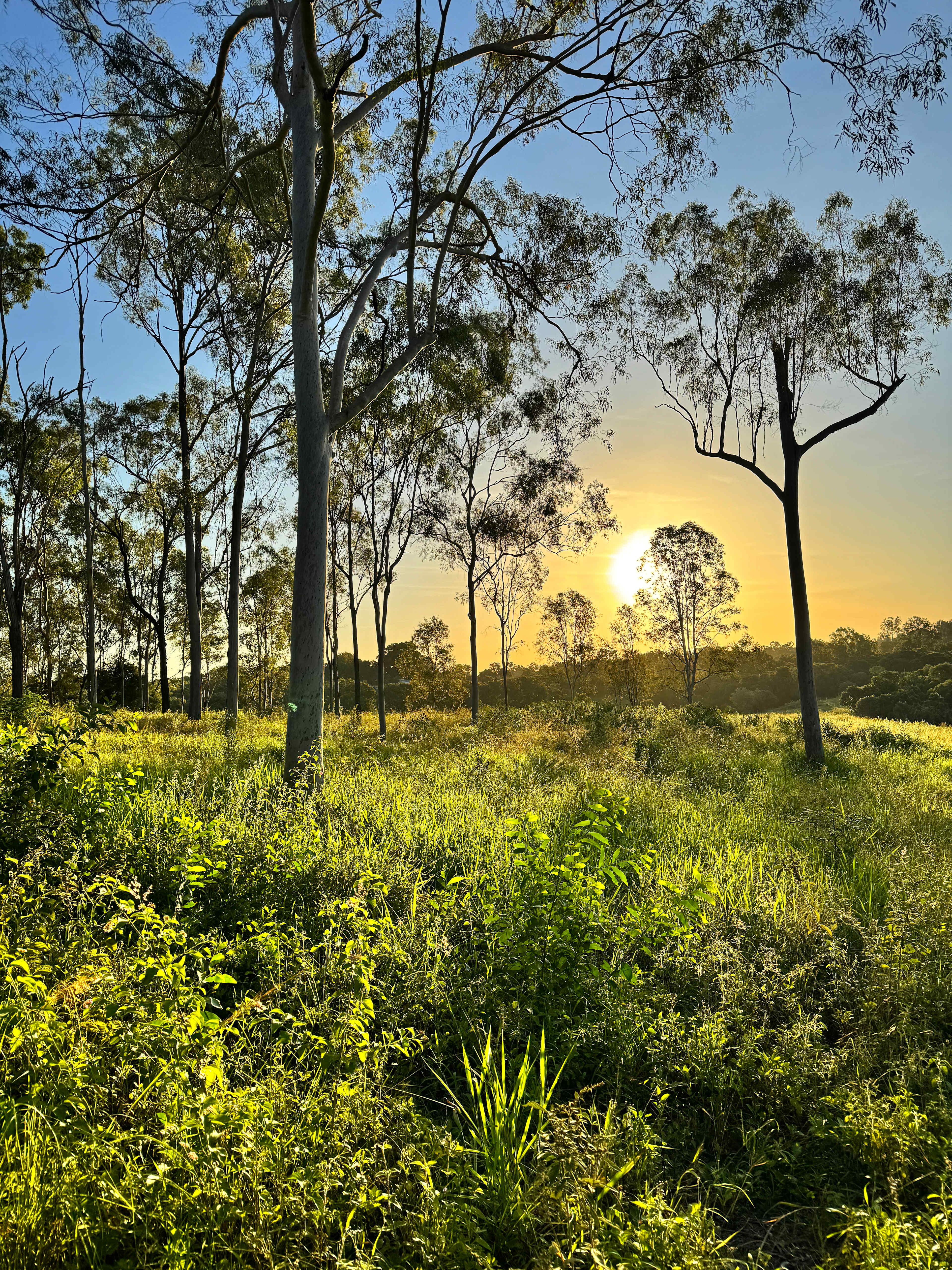 Hideaway Haven in Bundaberg