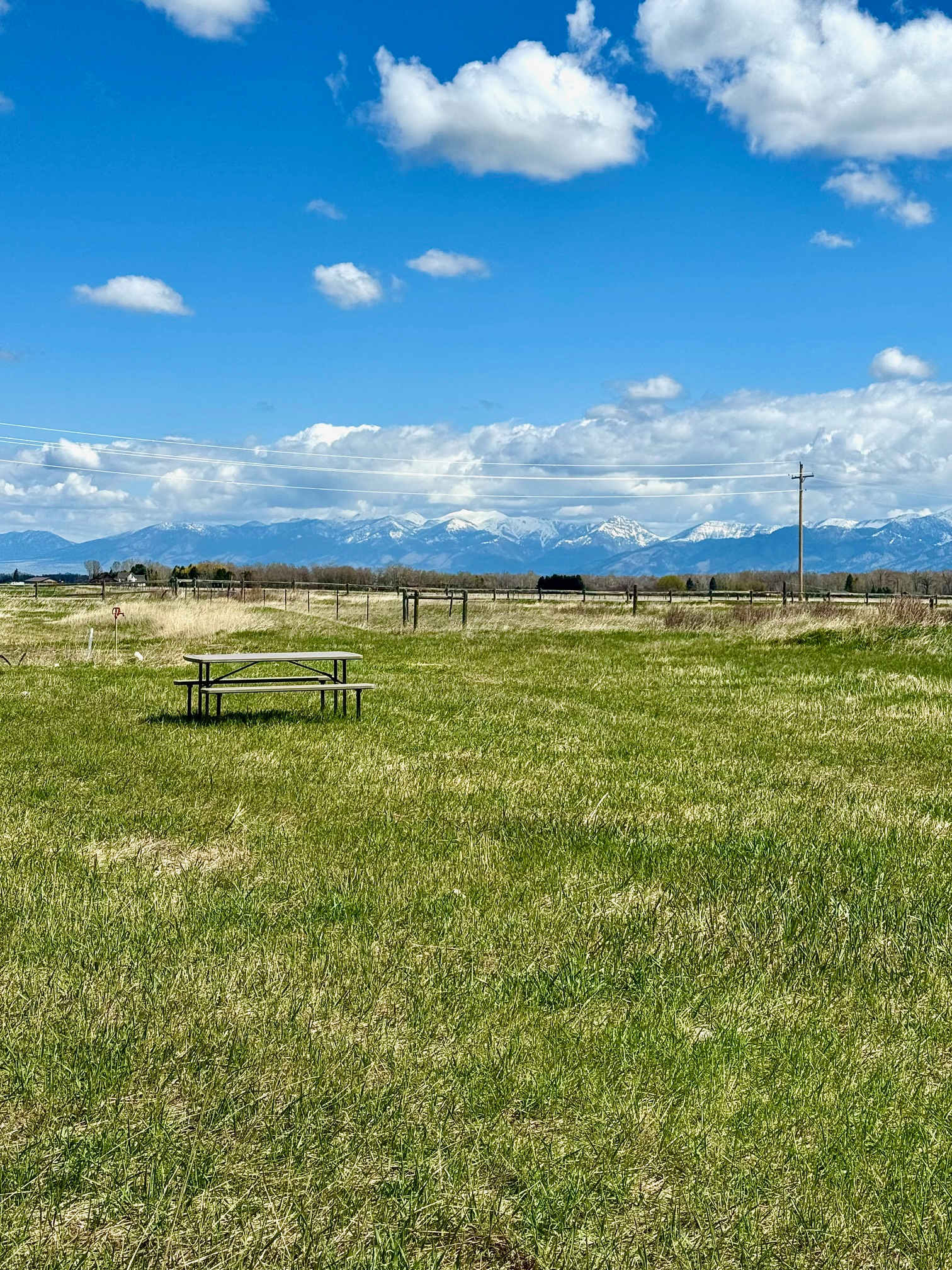 Cloud Nine Equine Ranch