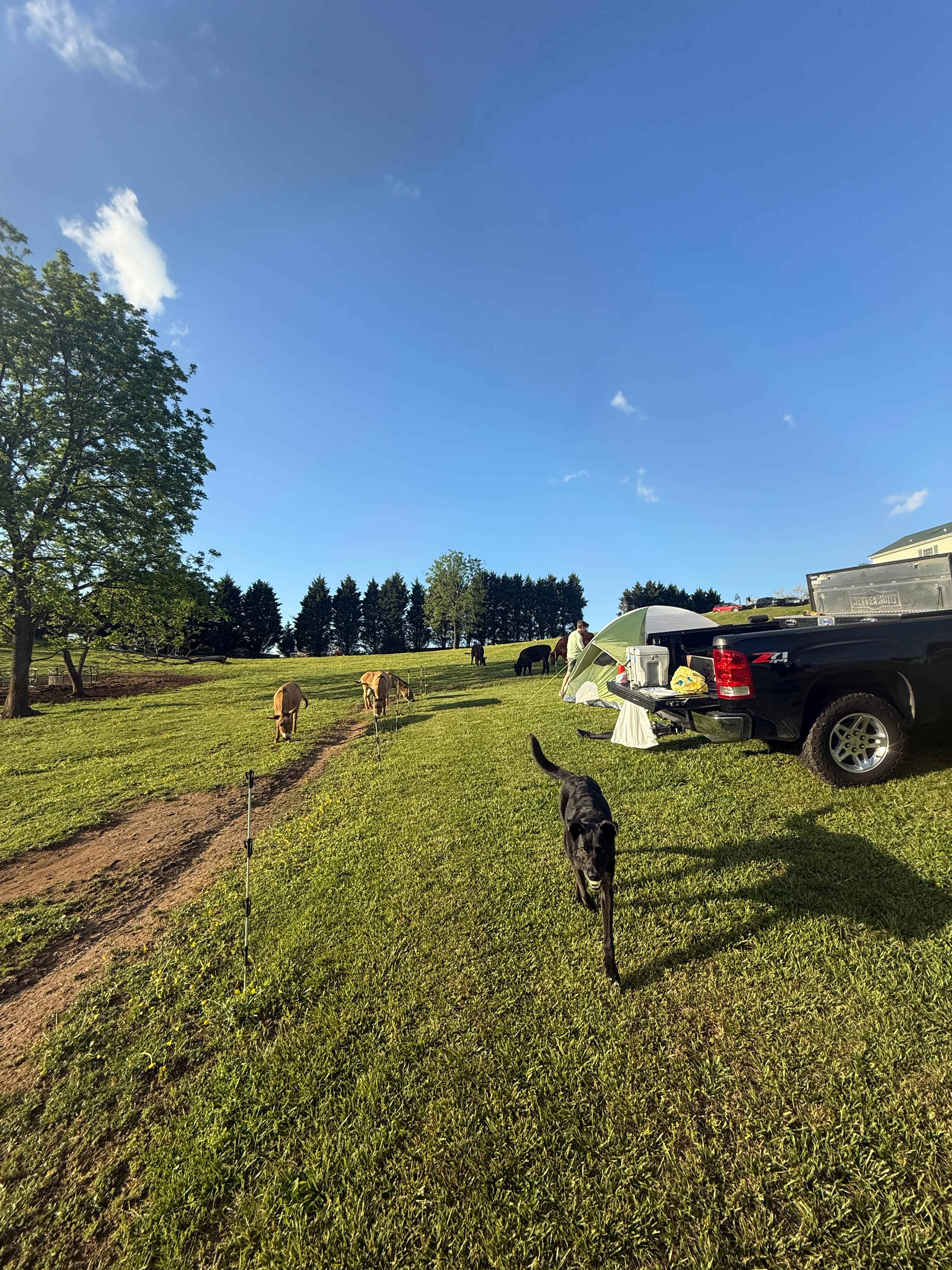 Mountain View Acres