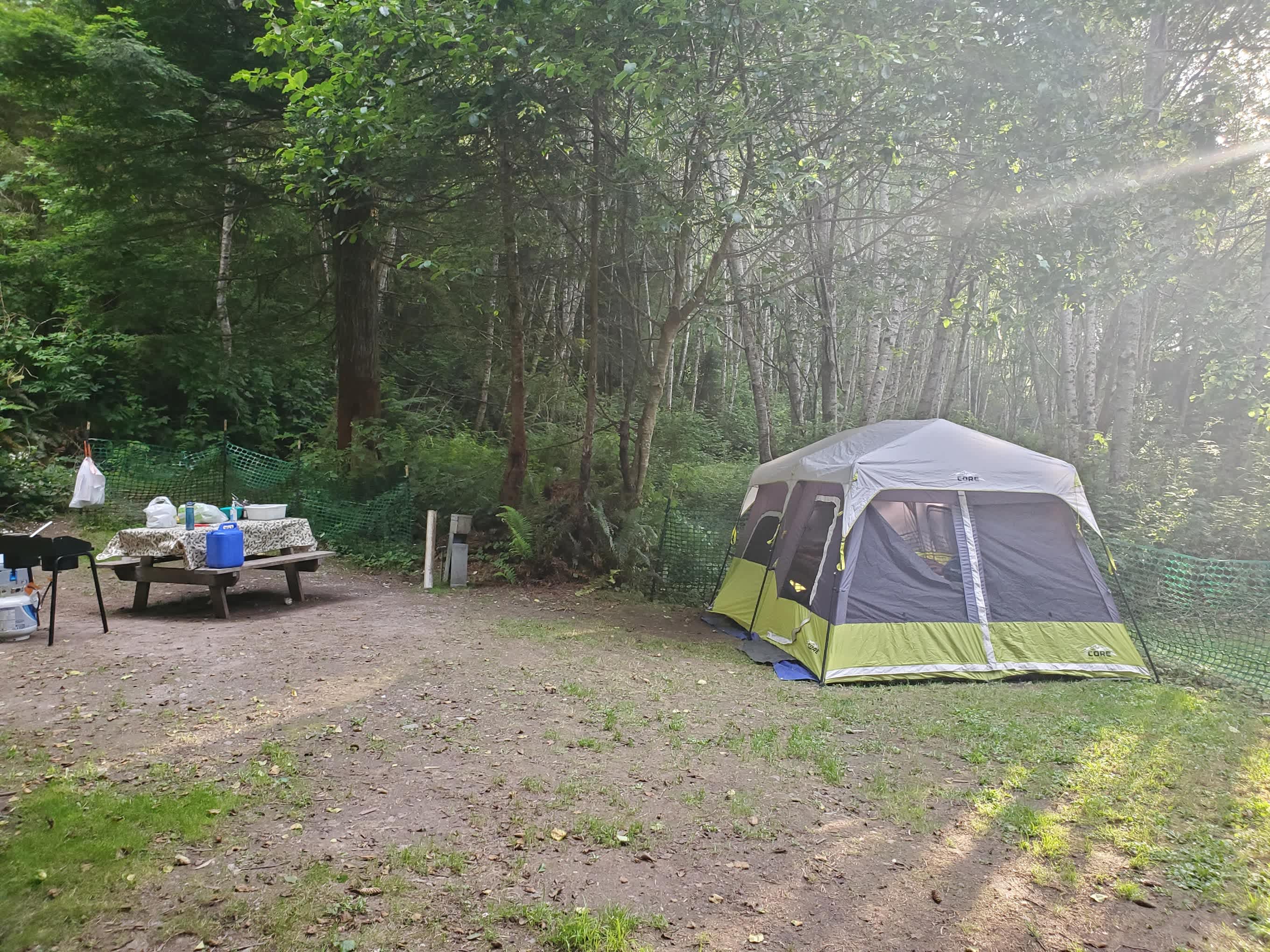 Picture of the site