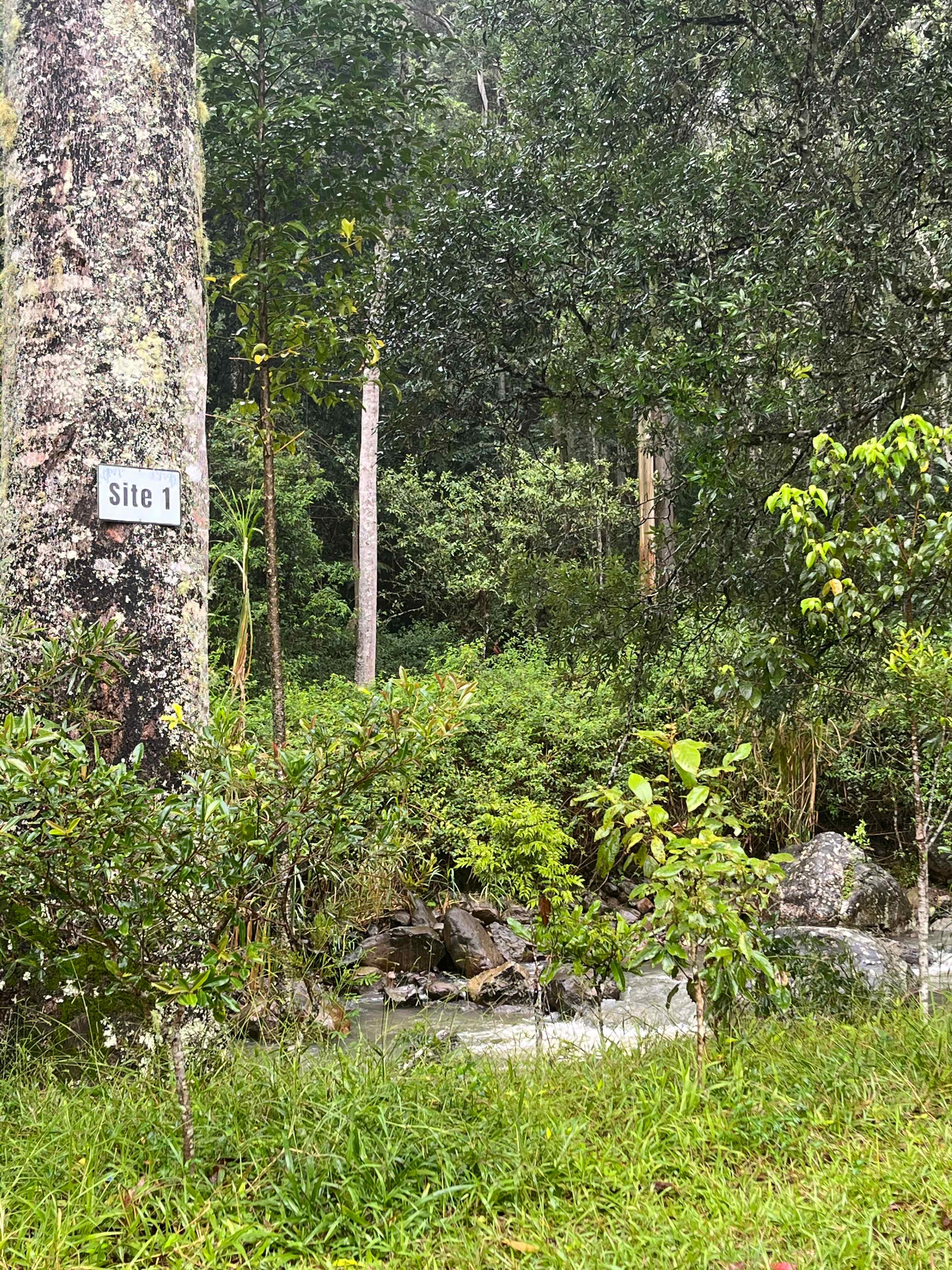 Cedar Waters Regen. Living Hub