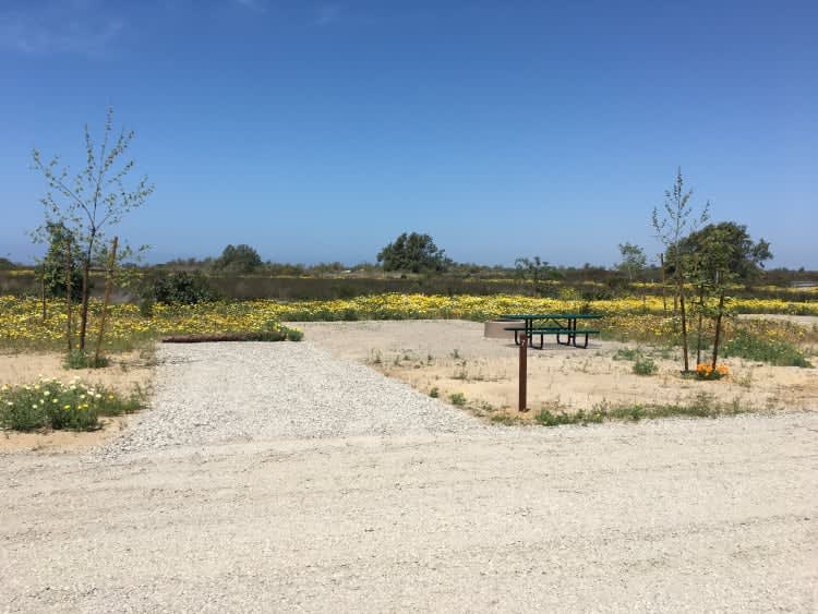 Site 7