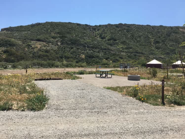 Site 12