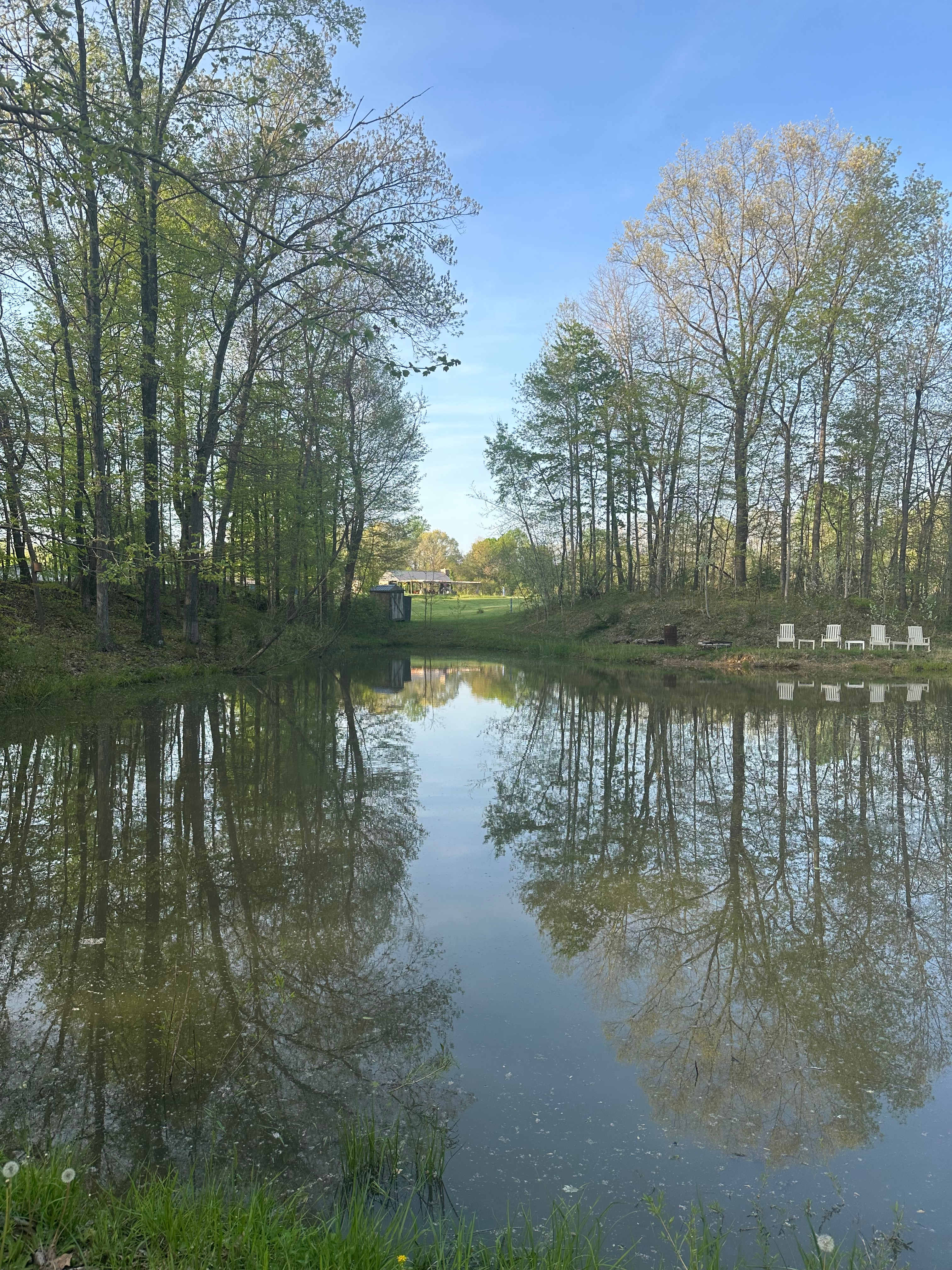 Backroads Vineyard LLC