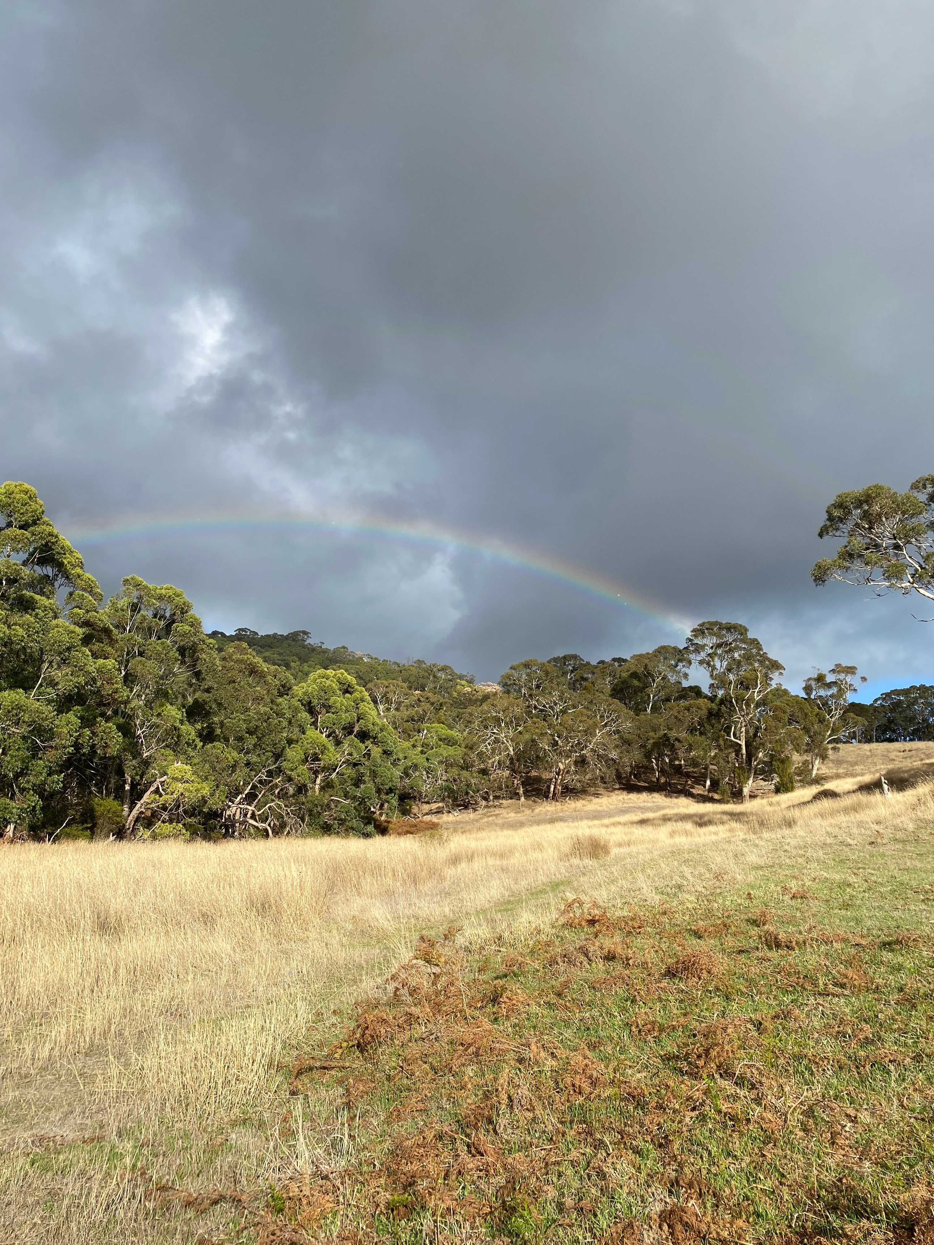 Kookaburra Cottage Farm