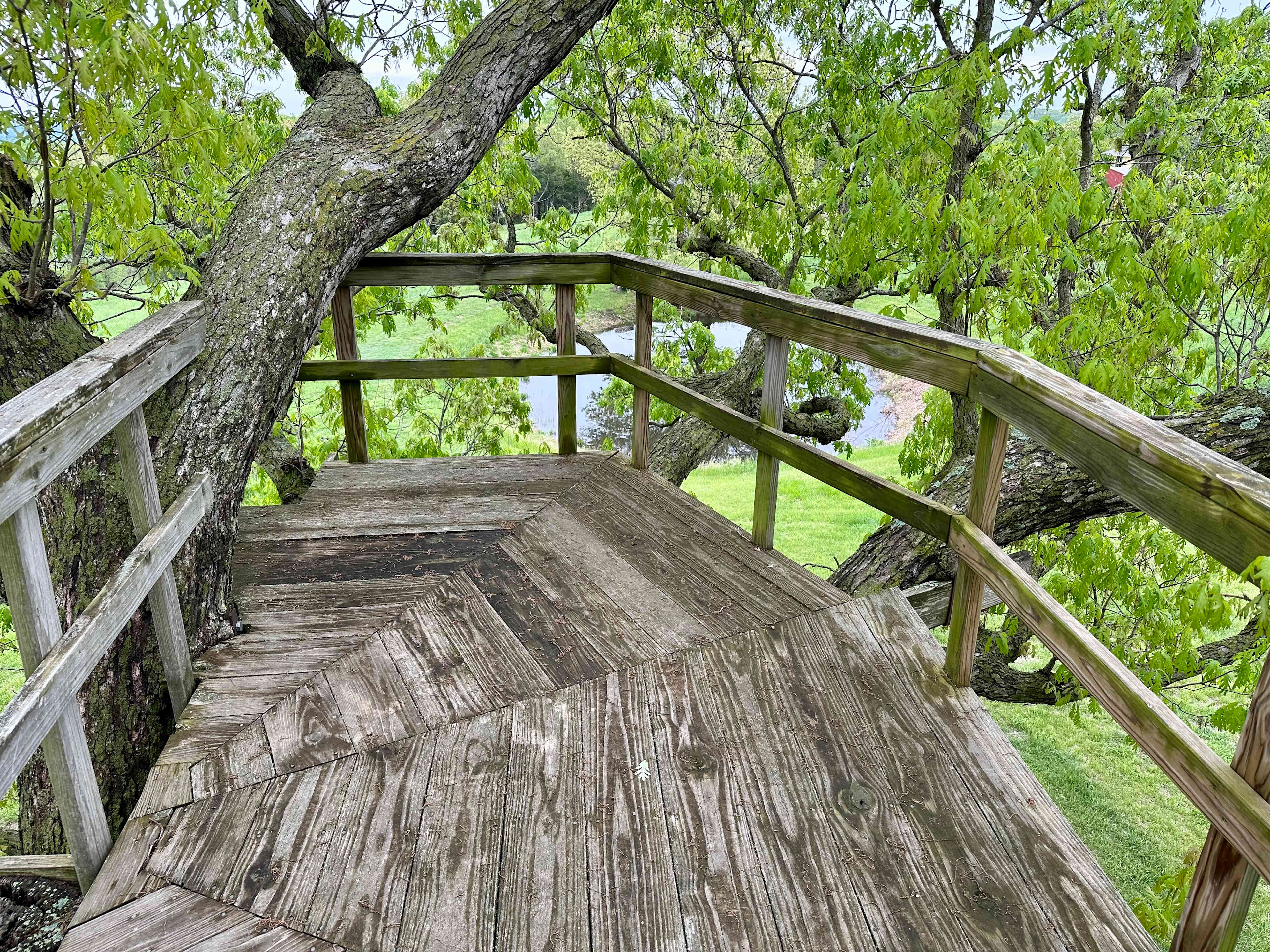 Solid, safe treehouse.