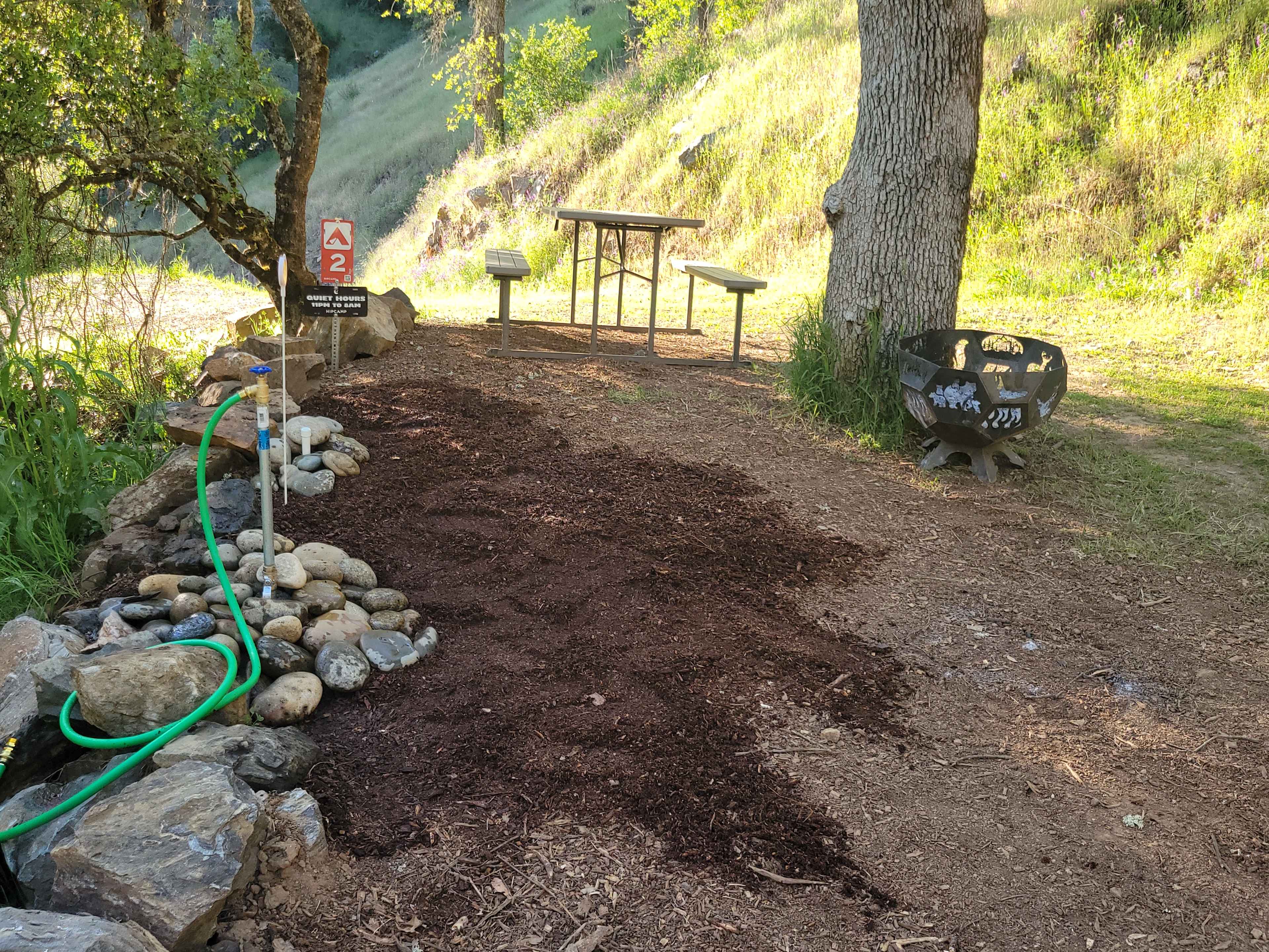 Picture of the site