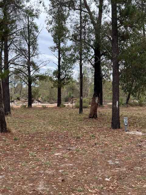 Little Eeden Farm Pine Camp