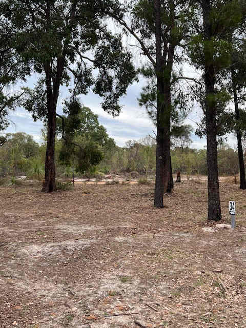 Little Eeden Farm Pine Camp