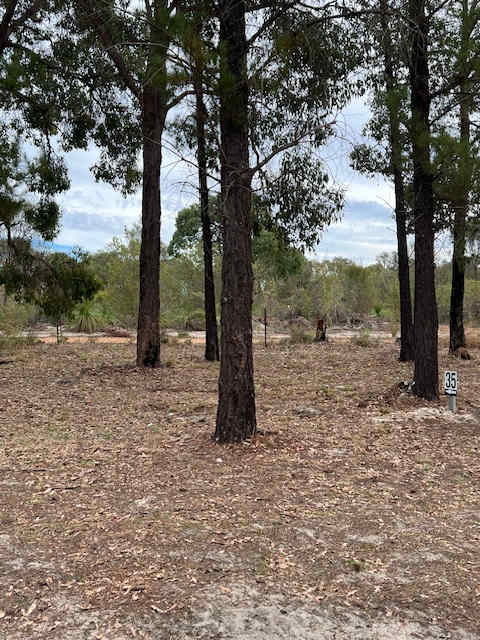 Little Eeden Farm Pine Camp