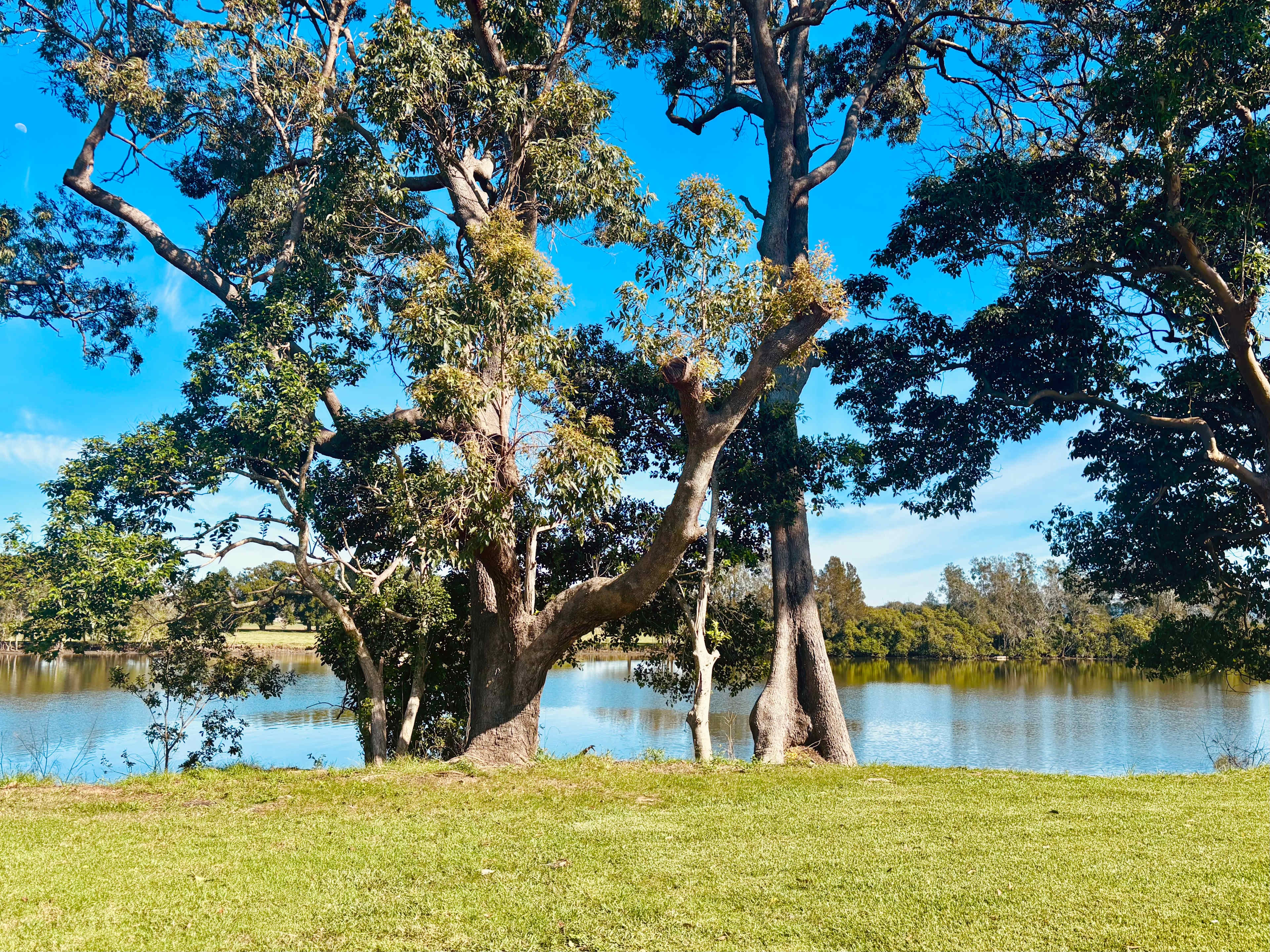 The Riverbank
