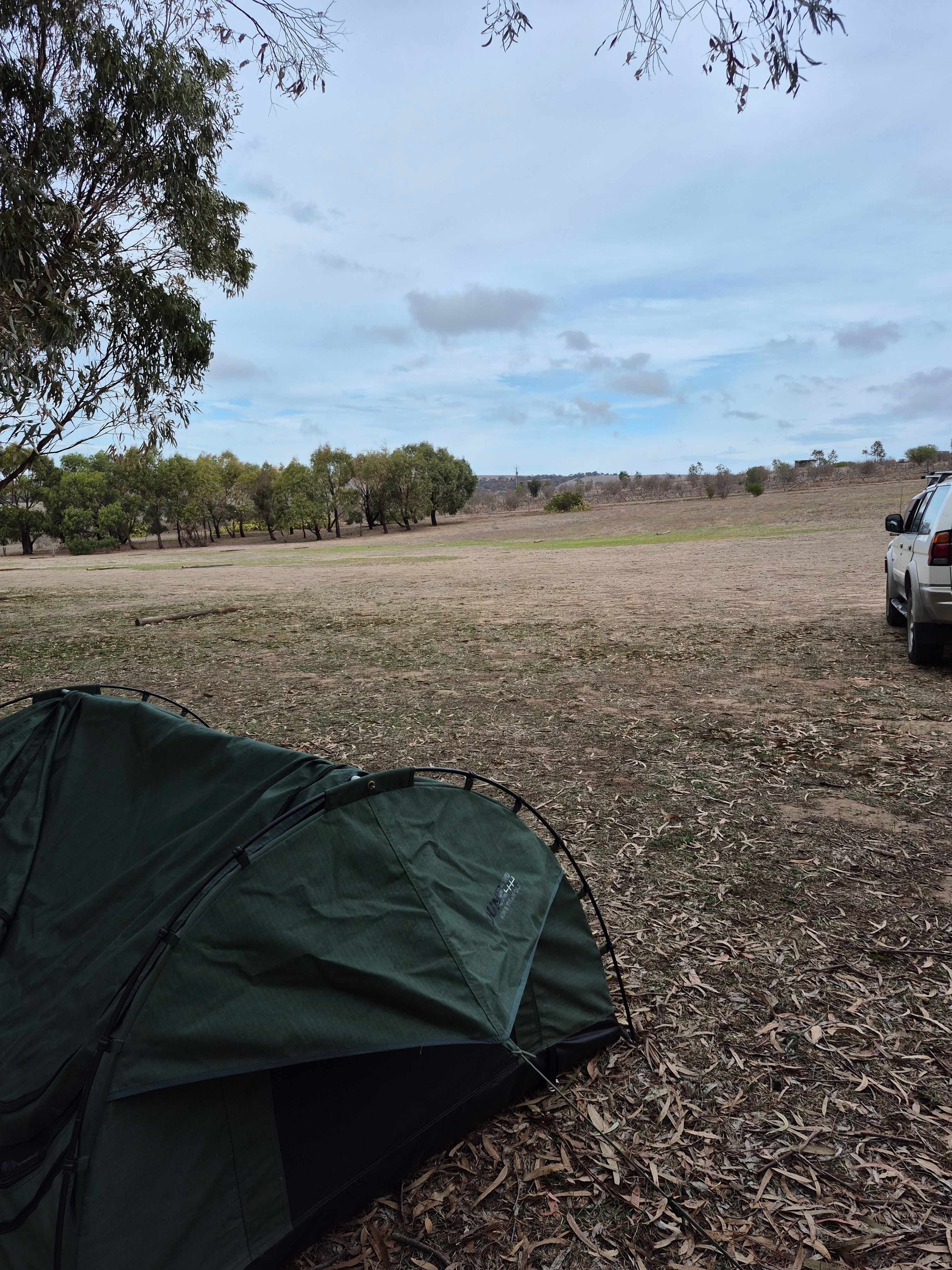 The Old Middleton Winery