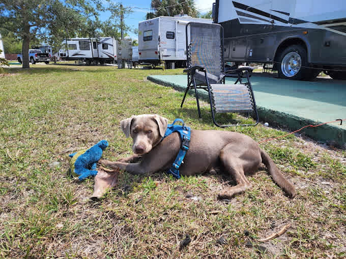 Floridays RV Park