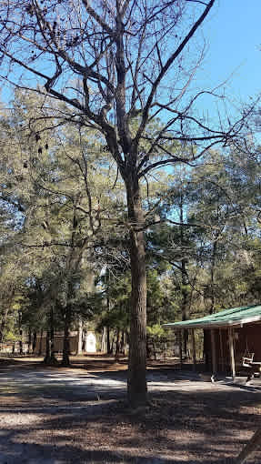 Ichetucknee Family Canoe and Cabins