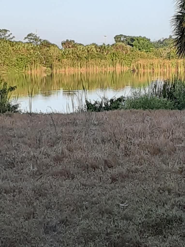Seminole Campground