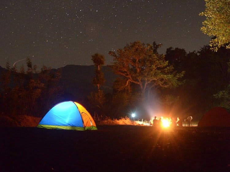 Flux River Resort
