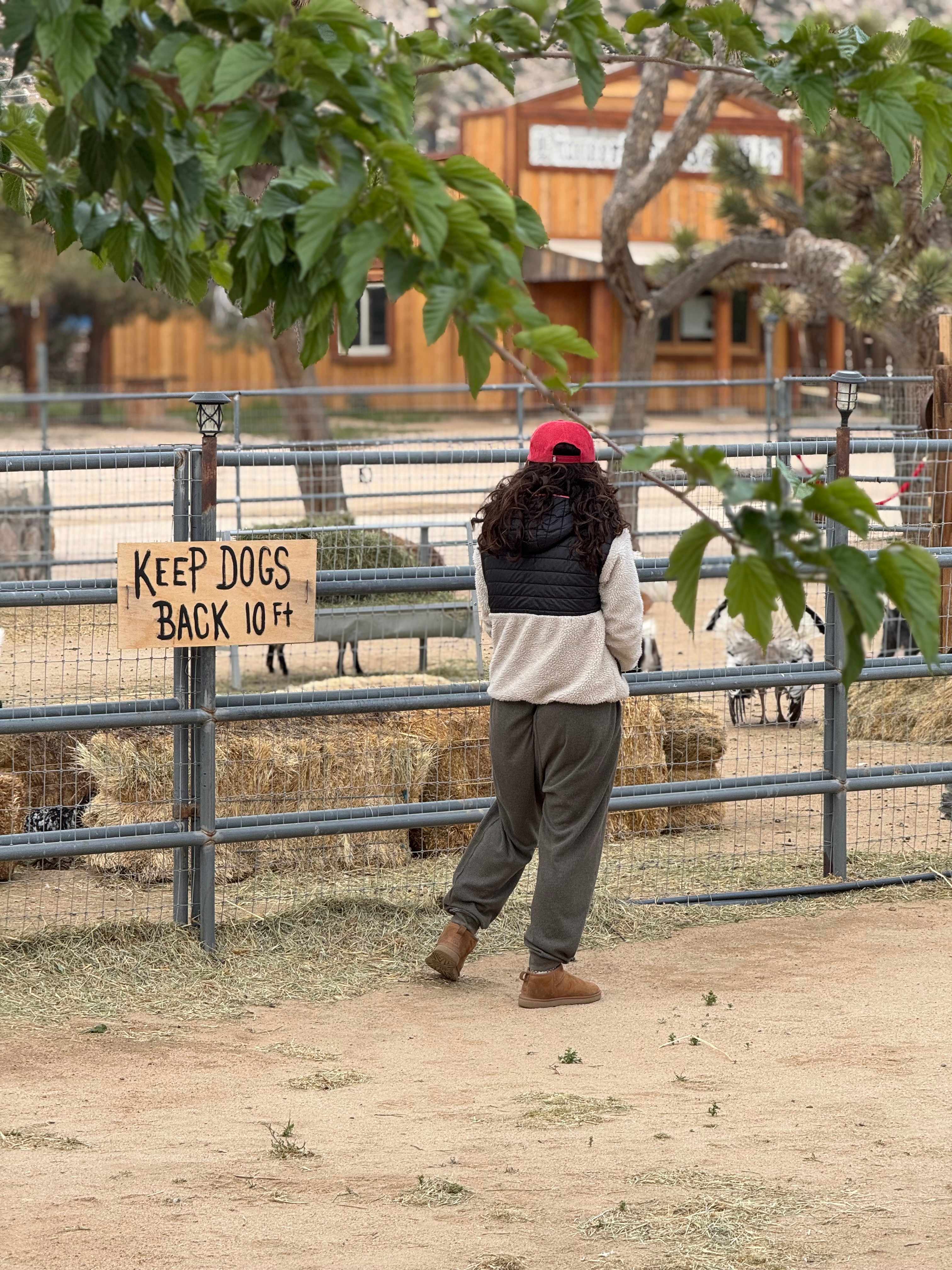 Pioneertown Corrals Camping
