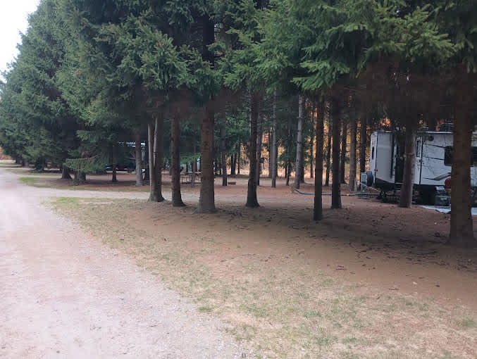 Sanilac County Evergreen Park