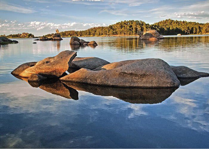 Alpine Lodge At Red Feather Lakes