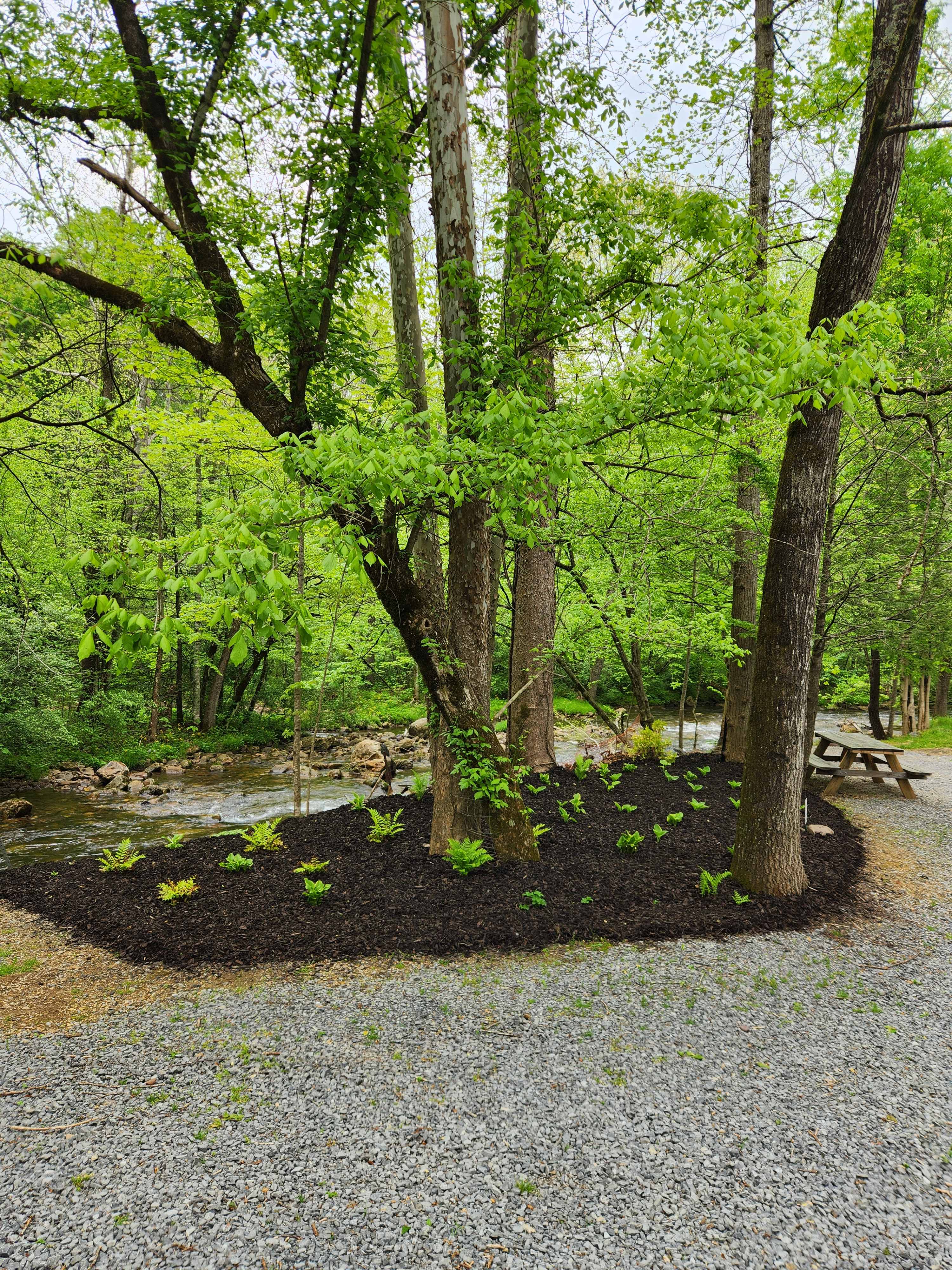 Rainbow Campground