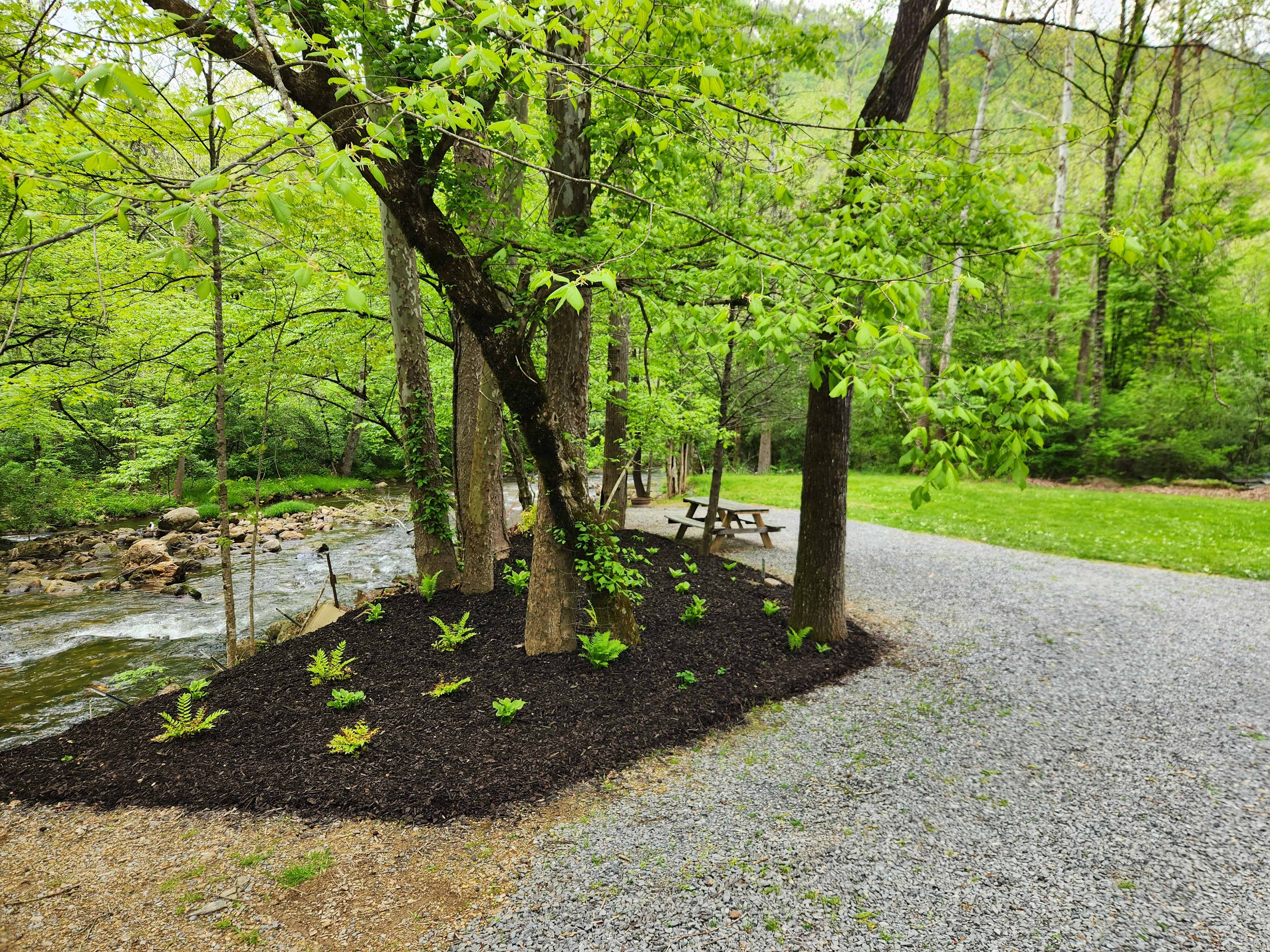 Picture of the site