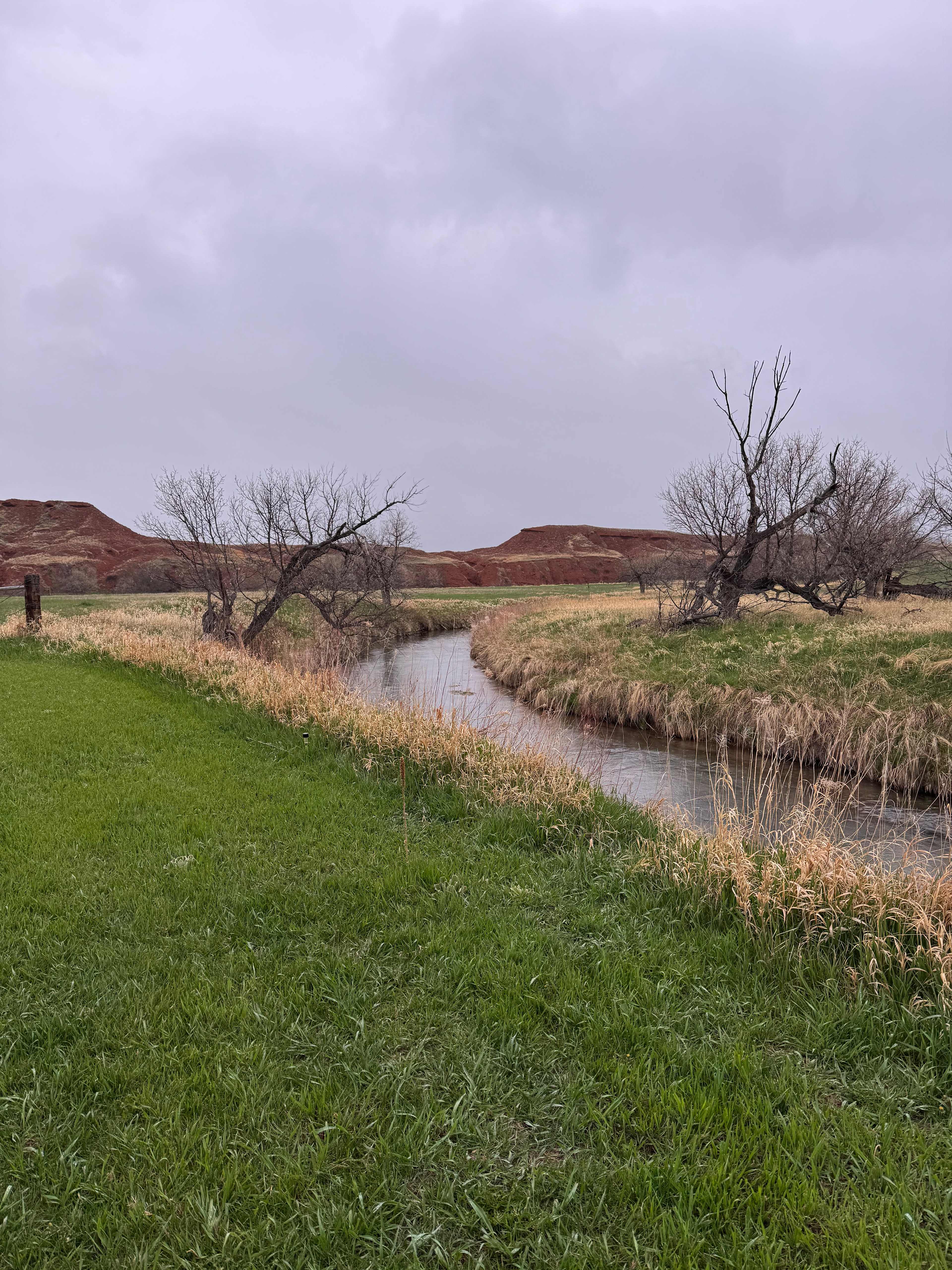 Redwater Revival Campground