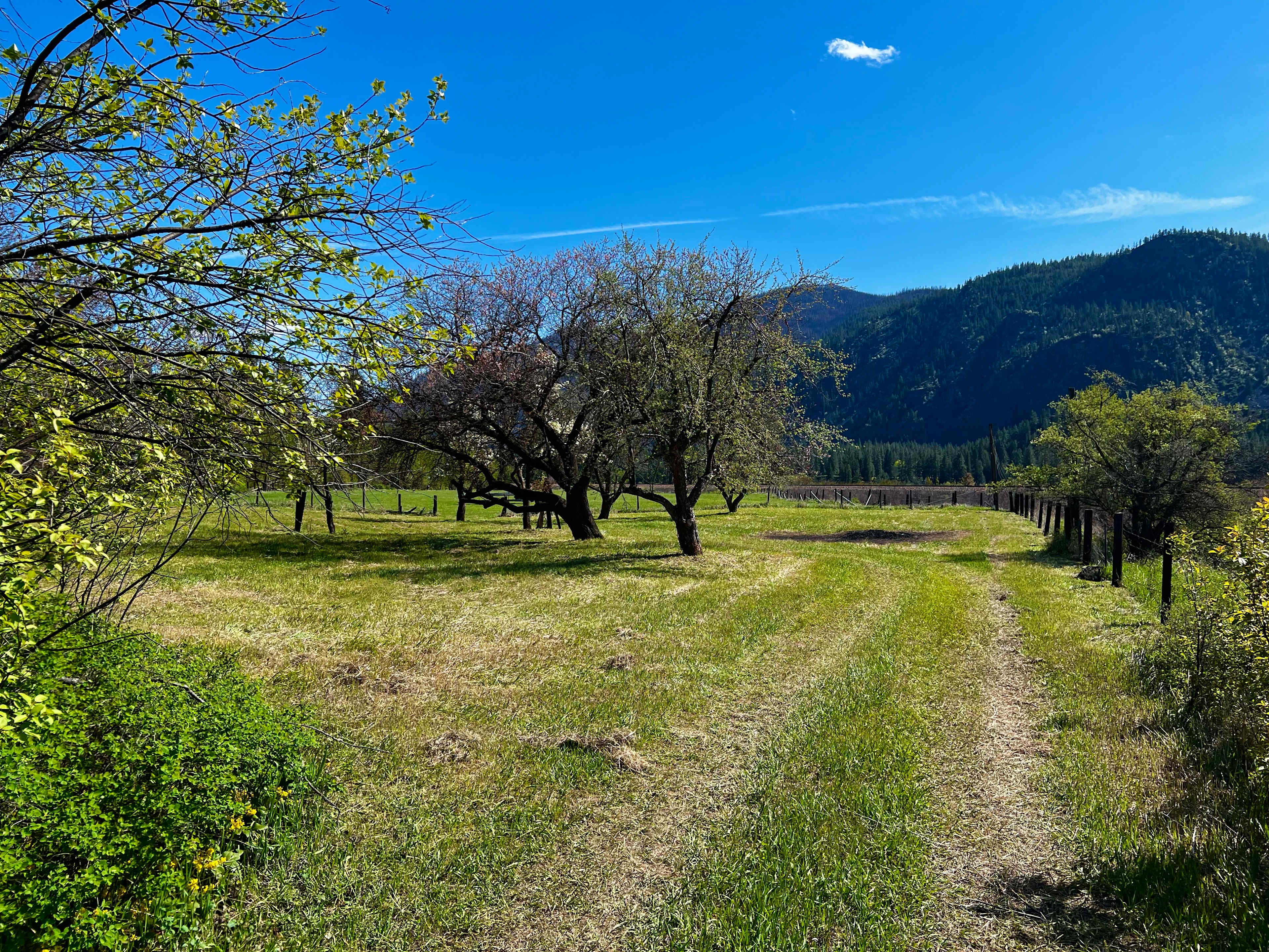 The Orchard On The Ol’ Homestead