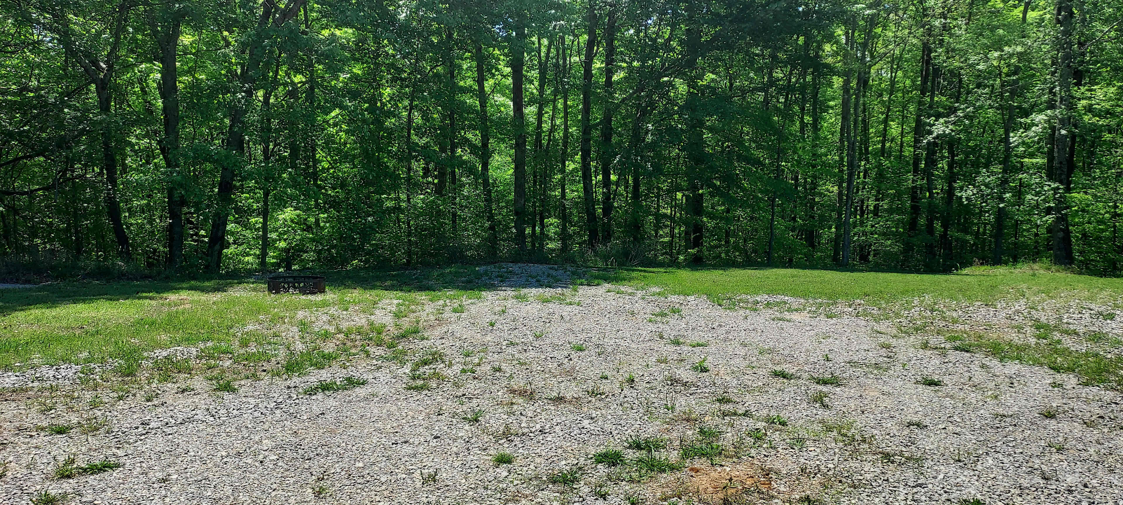 Shepherd's Holler