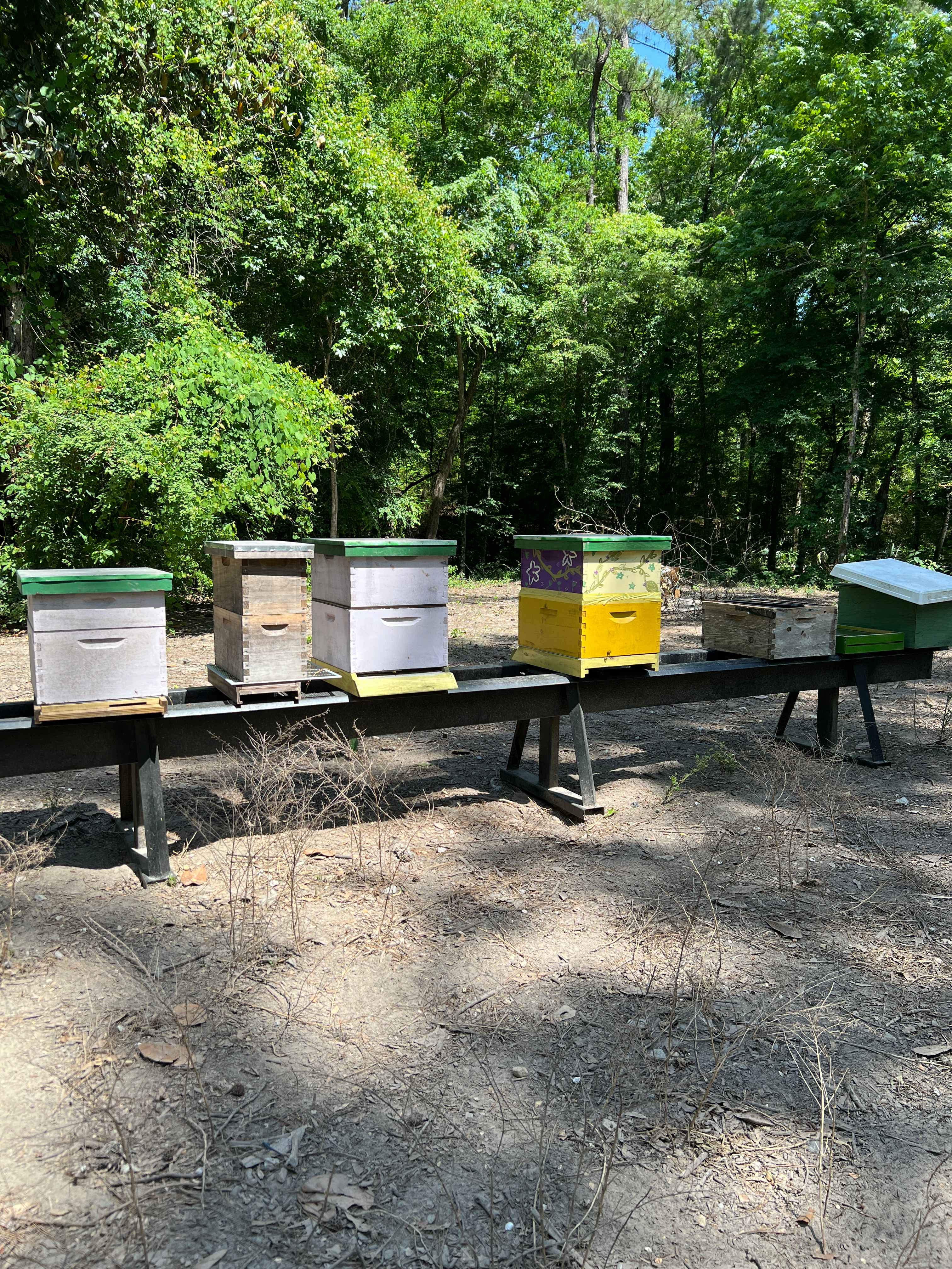 Big Branch Apiary