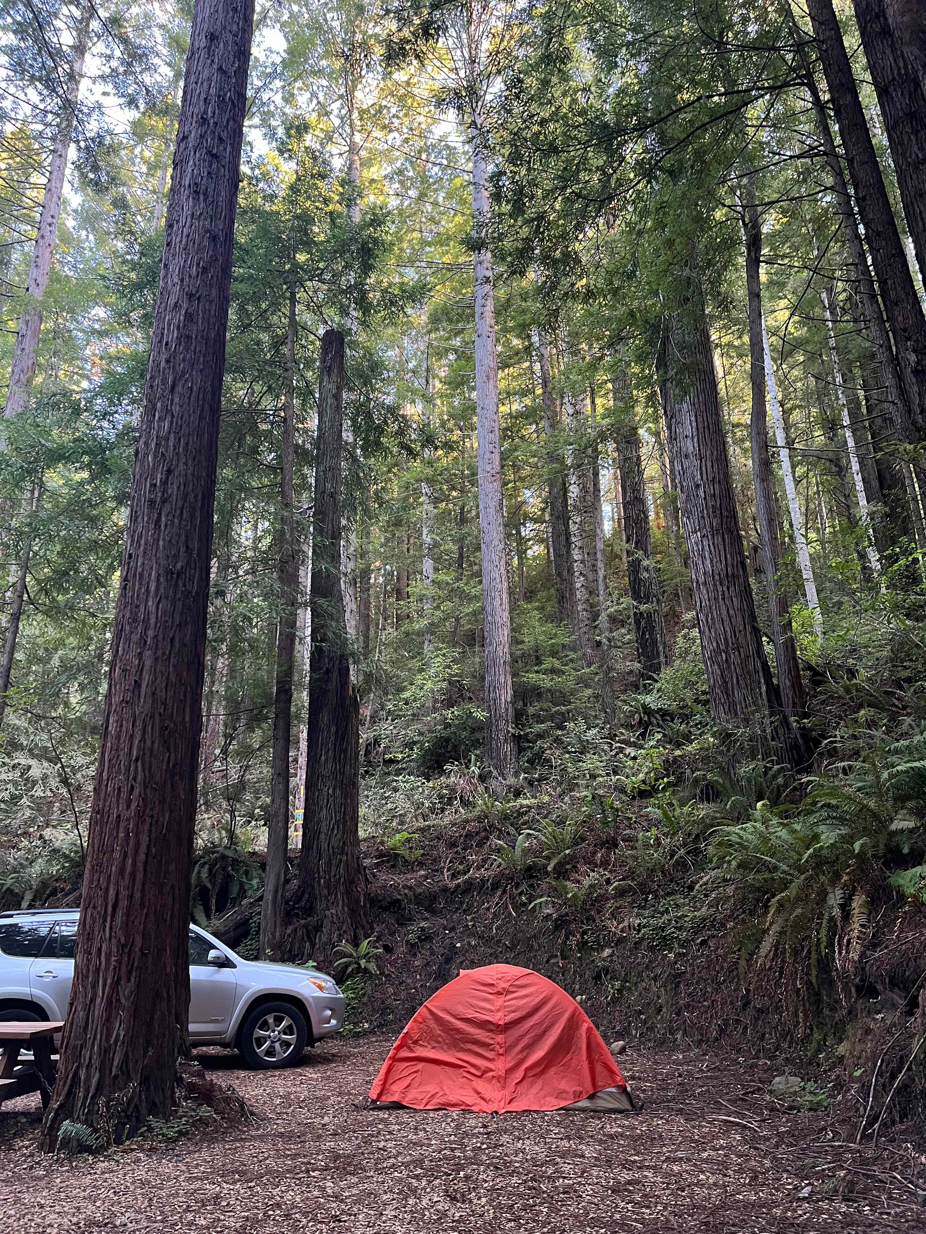 Whispering Redwood Creek